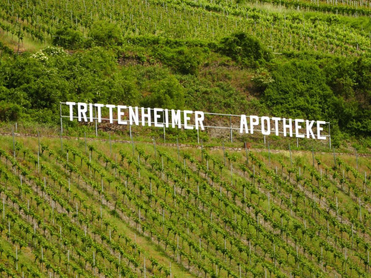 Katrin-Cara Mia Ferienwohnung Trittenheim Exteriör bild