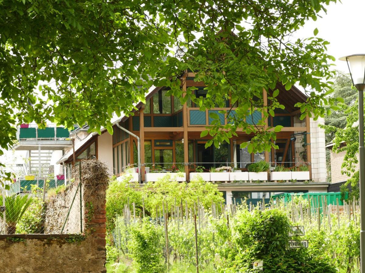 Katrin-Cara Mia Ferienwohnung Trittenheim Exteriör bild
